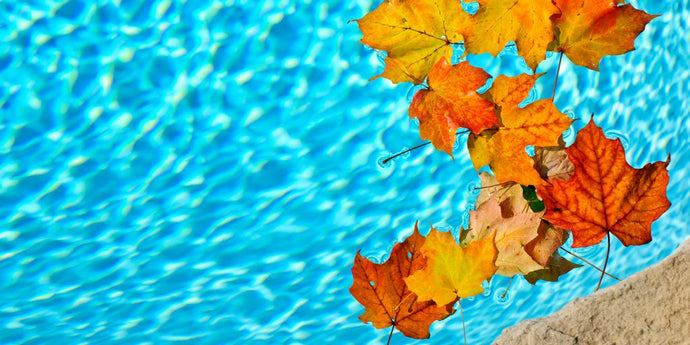 Preparing Your Pool For Autumn
